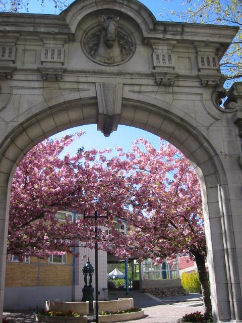 HAMRAHI à Paris