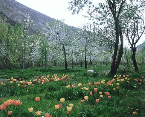 Iran, paysage du Nord